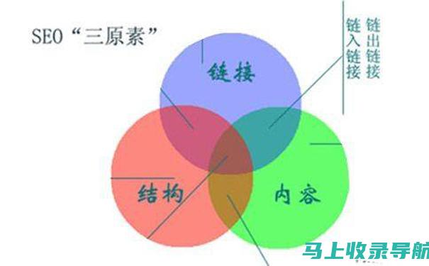 SEO入门教程大解析：针对新手的全面指南